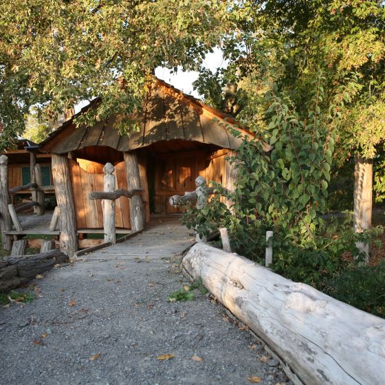 Unser Schulgarten mit Holzhaus und Bäumen