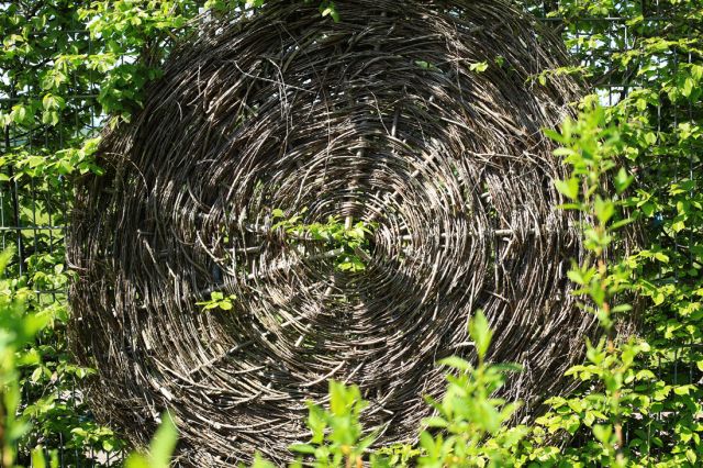 Ein Kreis aus Weidenzweigen geflochten im Grünen