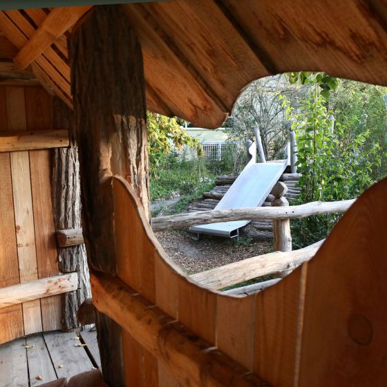 Ein Blick aus dem Baumhaus durch das Holz in unserem Garten